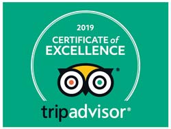 certificate of excellence 2019